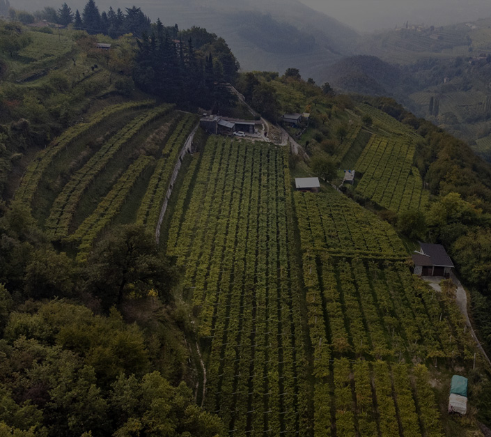 Vinařství Bruno Damoli