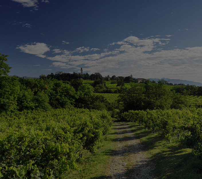 Vinařství Malibran