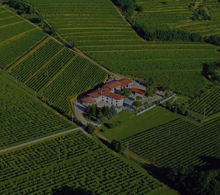 Vinařství Sergio Scarbolo