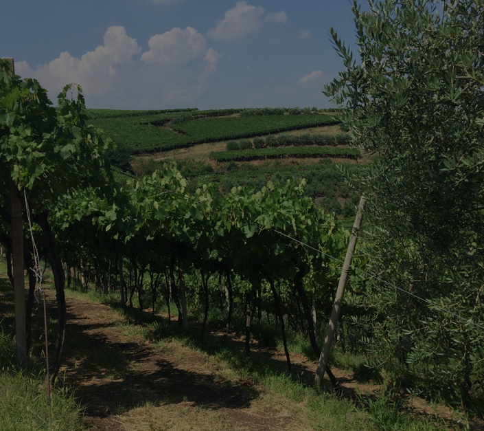 Vinařství CORNELIA TESSARI